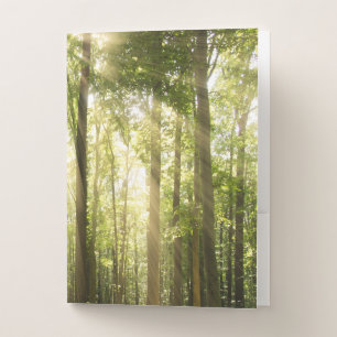 Sunrays Through Treetops Pocket Folder