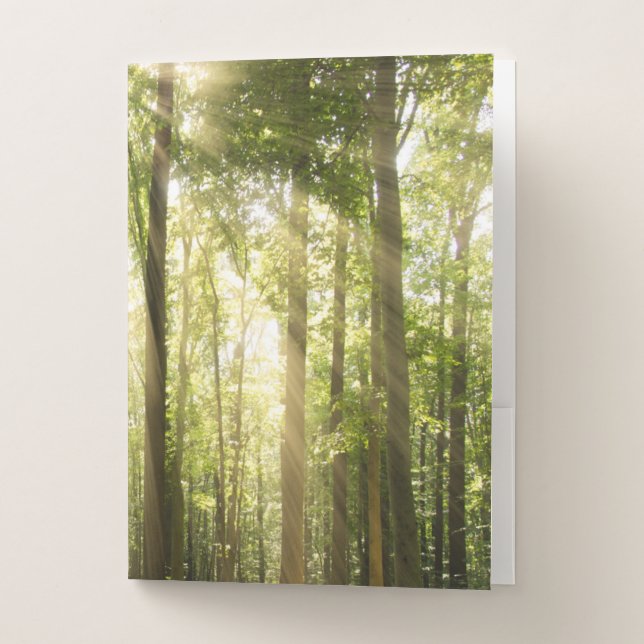 Sunrays Through Treetops Pocket Folder (Front)