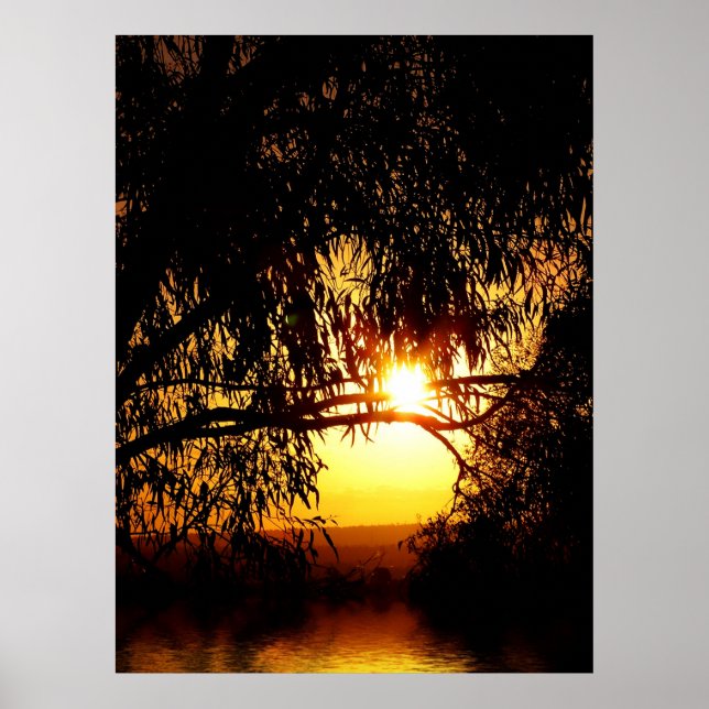 Sunrealism : Ferntree Gully Poster (Front)