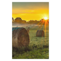 Sunrise and Bales