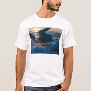 Sunrise and Iceberg formations T-Shirt