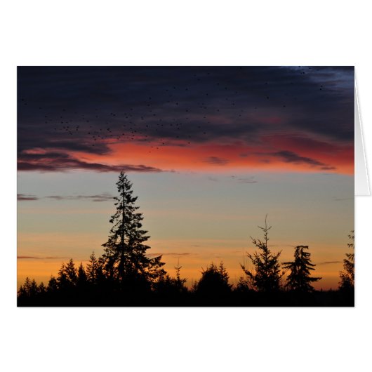 Sunrise and Trees Cards (Front Horizontal)