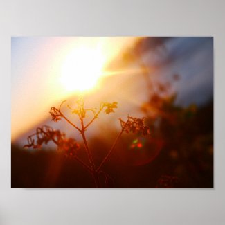 Sunrise at a Mountain in the Philippines Poster
