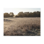 Sunrise at Bear Valley Trailhead Landscape Postcard