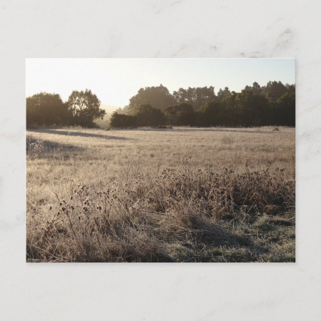 Sunrise at Bear Valley Trailhead Landscape Postcard (Front)