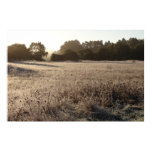 Sunrise at Bear Valley Trailhead Landscape Poster