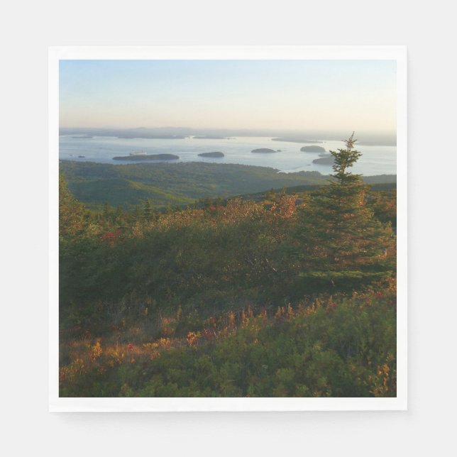 Sunrise at Cadillac Mountain I Napkins (Front)