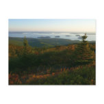 Sunrise at Cadillac Mountain I Postcard