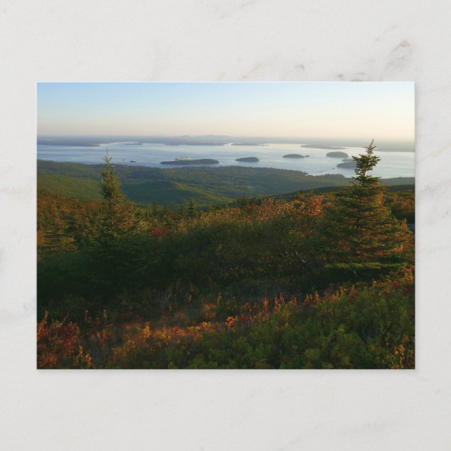 Sunrise at Cadillac Mountain I Postcard (Front)