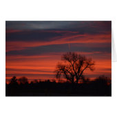 Sunrise at Harper Lake (Front Horizontal)