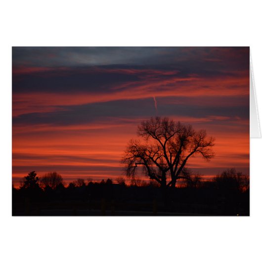 Sunrise at Harper Lake Cards (Front Horizontal)