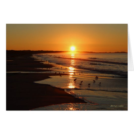 Sunrise at Horseneck Beach Cards (Front Horizontal)