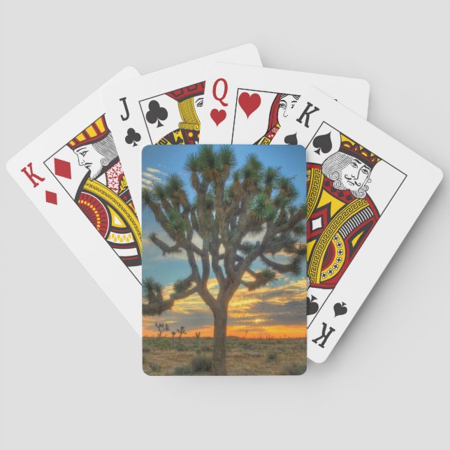 Sunrise At Joshua Tree National Park Poker Cards (Back)