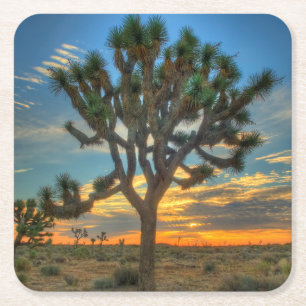 Sunrise At Joshua Tree National Park Square Paper Coaster