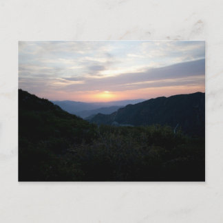 Sunrise at Penny Pines Postcard