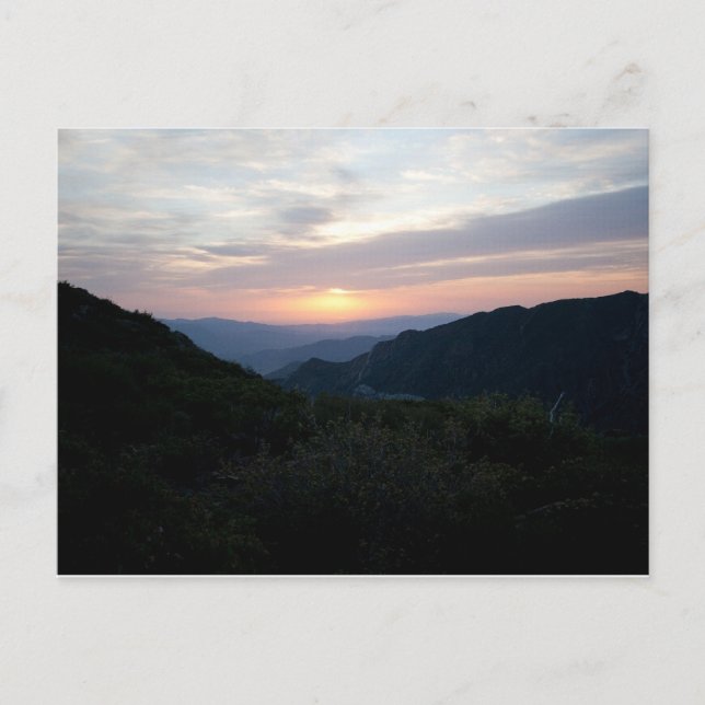 Sunrise at Penny Pines Postcard (Front)