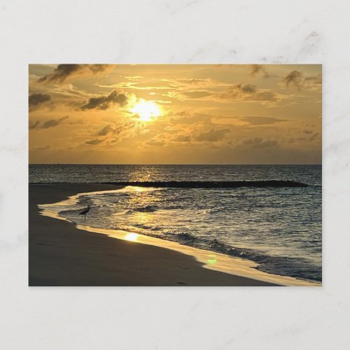 Sunrise Beach Postcard