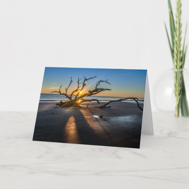 Sunrise Beach Scene With Driftwood - Blank Card (Front)