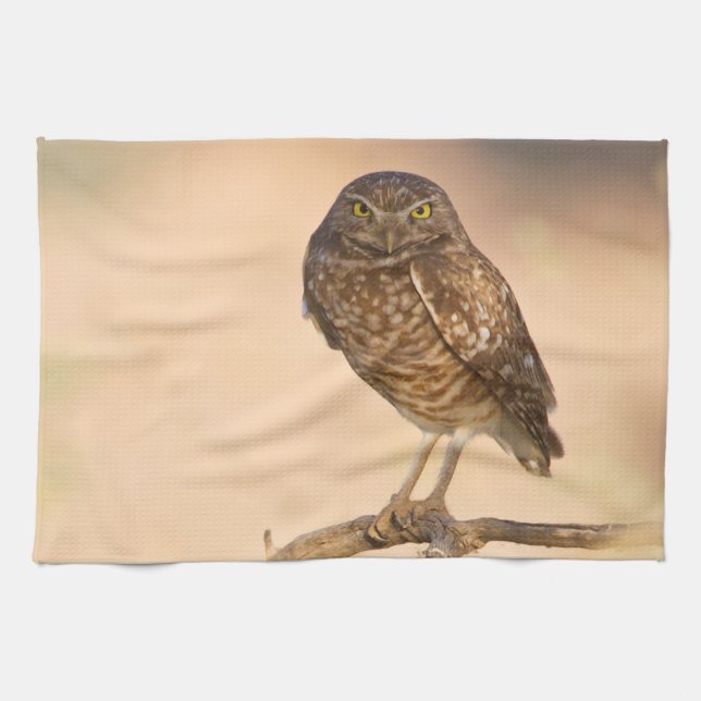 Sunrise Burrowing Owl Kitchen Towel (Horizontal)