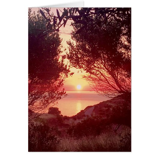 Sunrise Cards (Front)