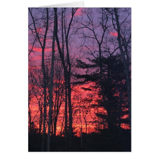 Sunrise Cards (Front)