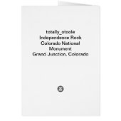 Sunrise Chasing Fog (Back)