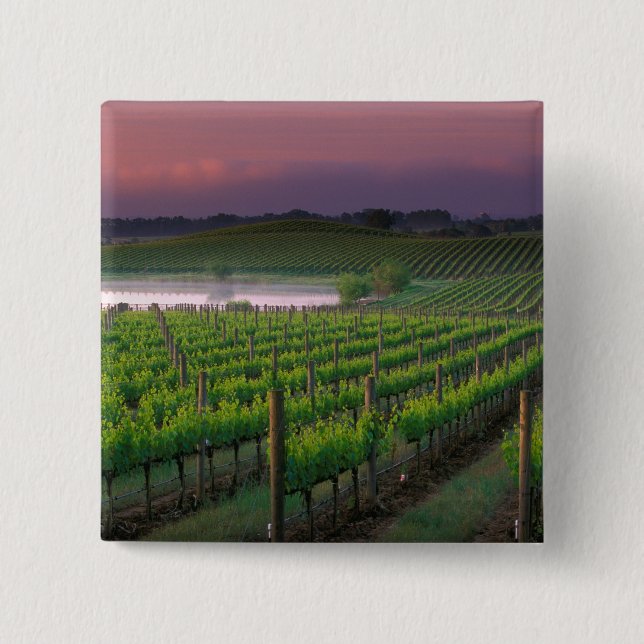 Sunrise color in the distant fog behind pinback button (Front)