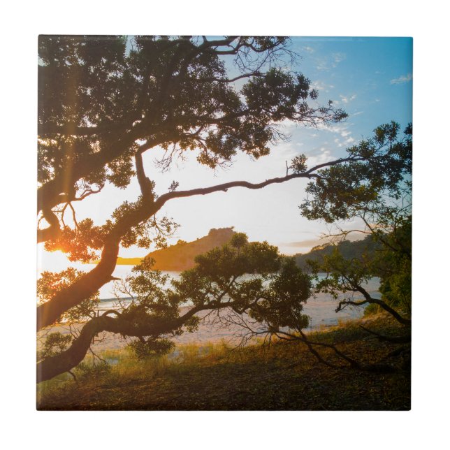 Sunrise Coromandel beach paradise New Zealand Ceramic Tile (Front)