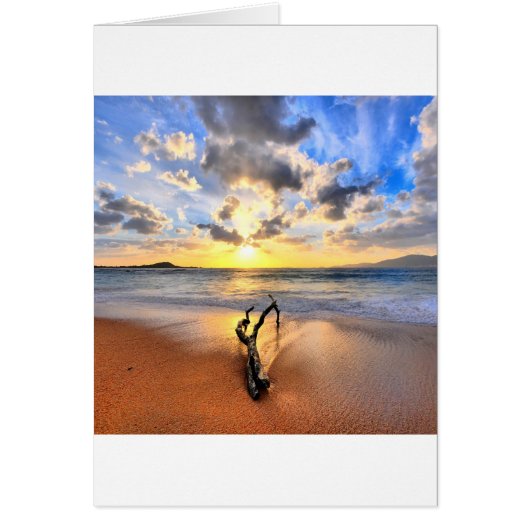 Sunrise Driftwood Beach Cards (Front)