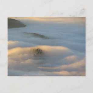 Sunrise fog in Pieniny mountains Postcard