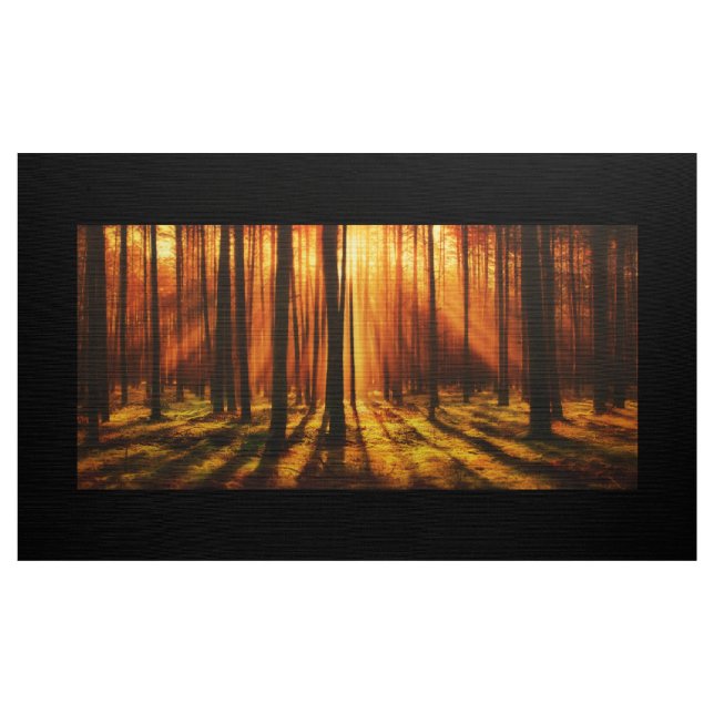 Sunrise Forest Fabric (Yard)