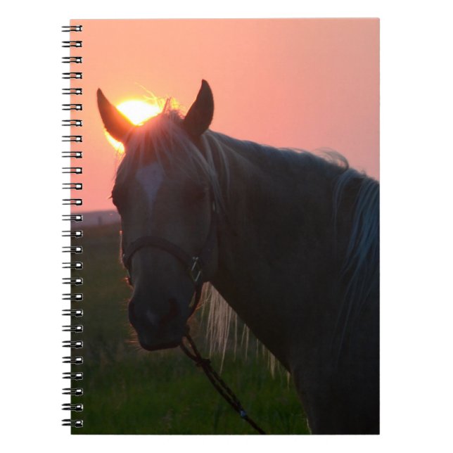 Sunrise Horse Notebook (Front)