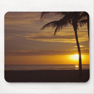 Sunrise in Florida Mouse Pad