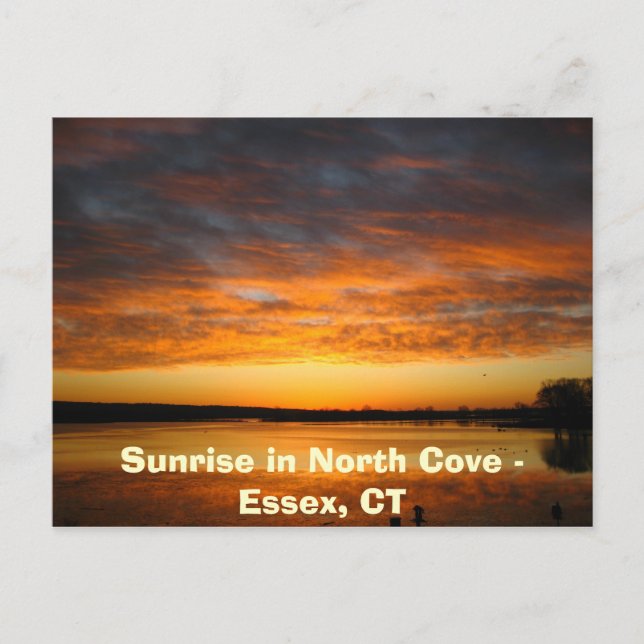 Sunrise in North Cove - Essex, CT Postcard (Front)