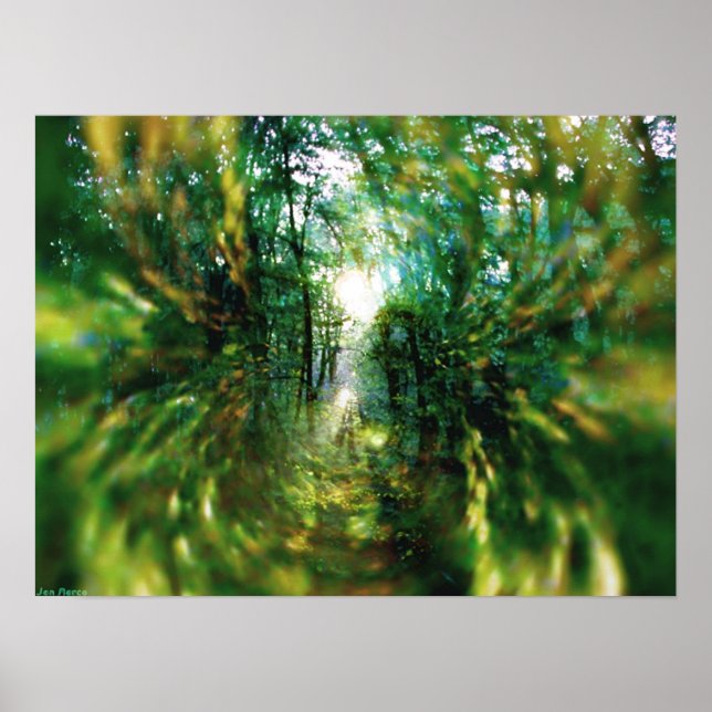 Sunrise in the Forest 2 Poster (Front)