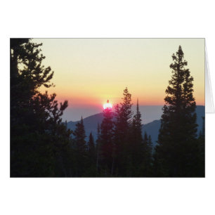 Sunrise in the Forest at Rocky Mountain