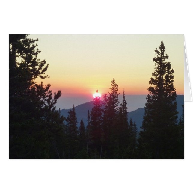 Sunrise in the Forest at Rocky Mountain Cards (Front Horizontal)