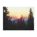 Sunrise in the Forest at Rocky Mountain Postcard