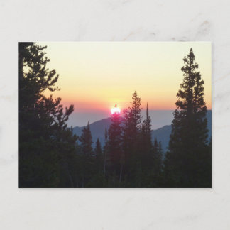 Sunrise in the Forest at Rocky Mountain Postcard