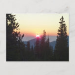 Sunrise in the Forest at Rocky Mountain Postcard