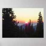Sunrise in the Forest at Rocky Mountain Poster