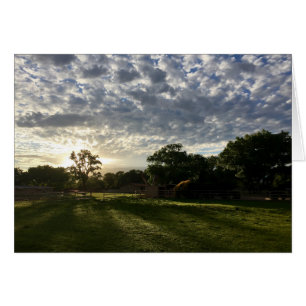 Sunrise in the North Valley, Albuquerque, NM