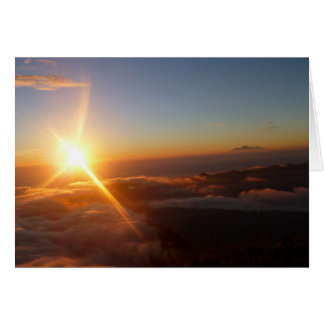 Sunrise Joy Cards