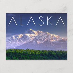 Sunrise Kisses Mt. McKinley Alaska Range Postcard