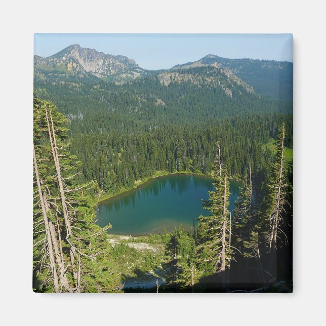 Sunrise Lake from Above at Mount Rainier Park Magnet (Front)