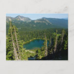 Sunrise Lake from Above at Mount Rainier Park Postcard