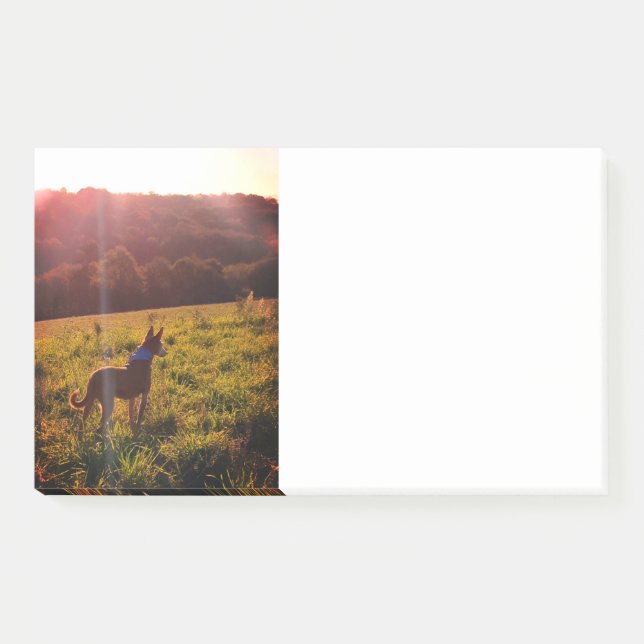 Sunrise Landscape with Dog  Post-it Notes (Front)