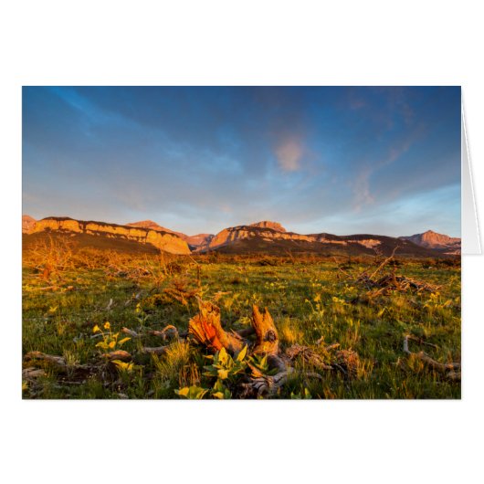 Sunrise Lights Blackleaf Canyon 2 Cards (Front Horizontal)