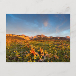 Sunrise Lights Blackleaf Canyon 2 Postcard