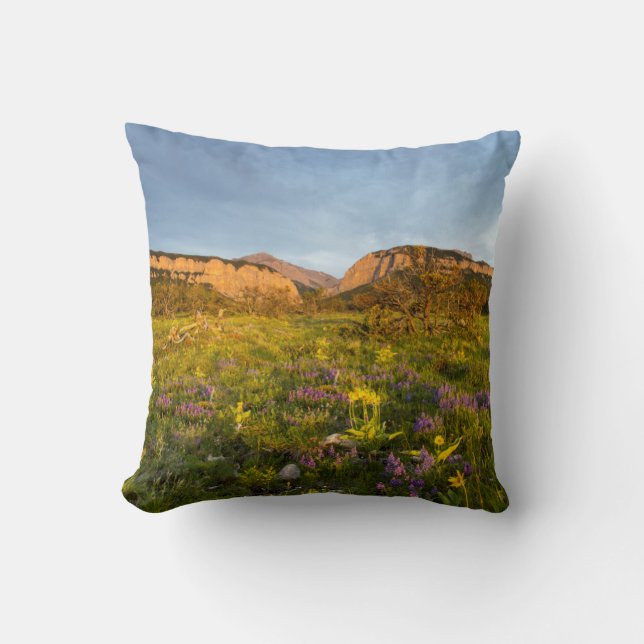 Sunrise Lights Blackleaf Canyon Throw Pillow (Front)